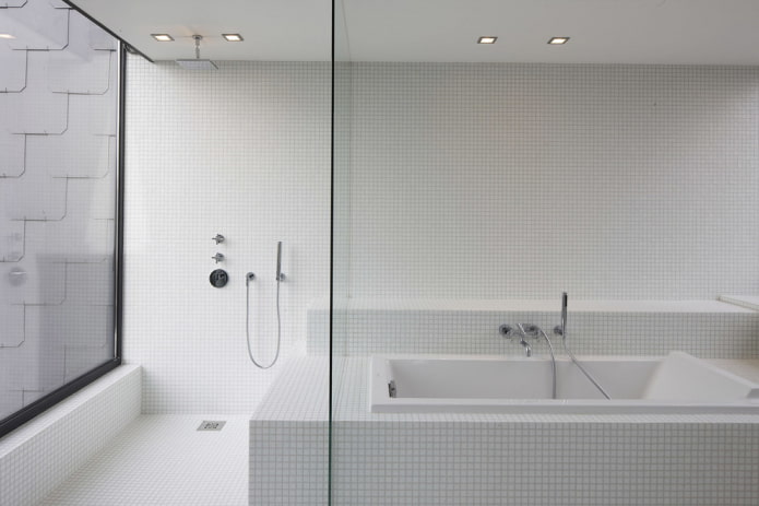 small tiles of white color in the interior of the bathroom