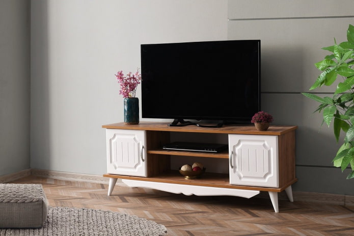 TV stand in the interior