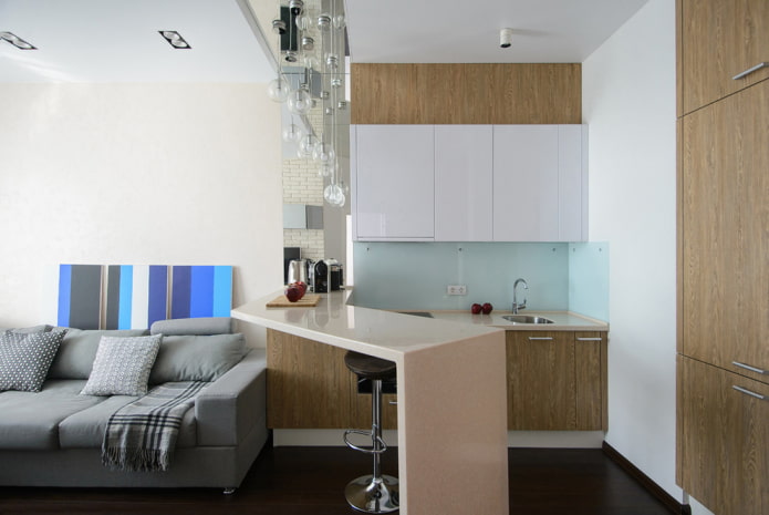 design of a kitchen area in a studio apartment