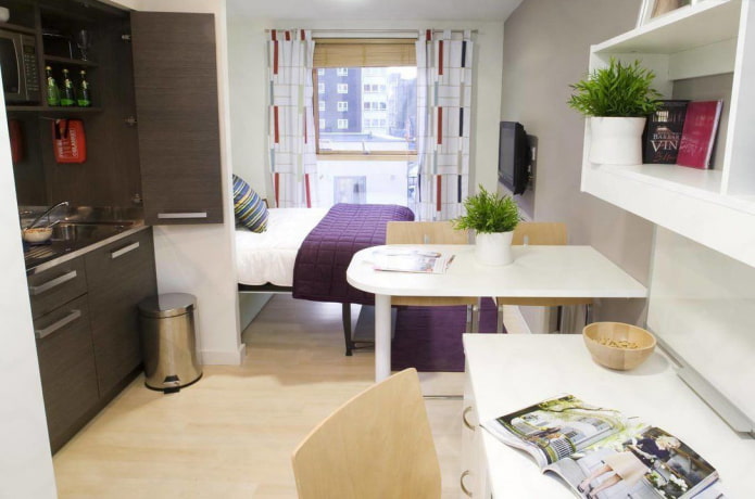 layout of a studio apartment of 20 sq. m.