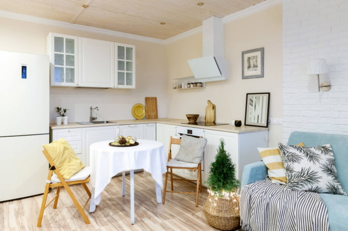 Euro-suite with kitchen-bedroom