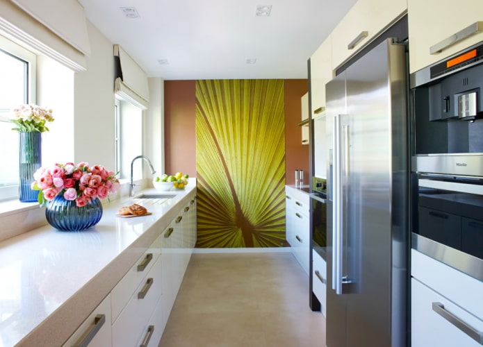 decorative design of a narrow kitchen