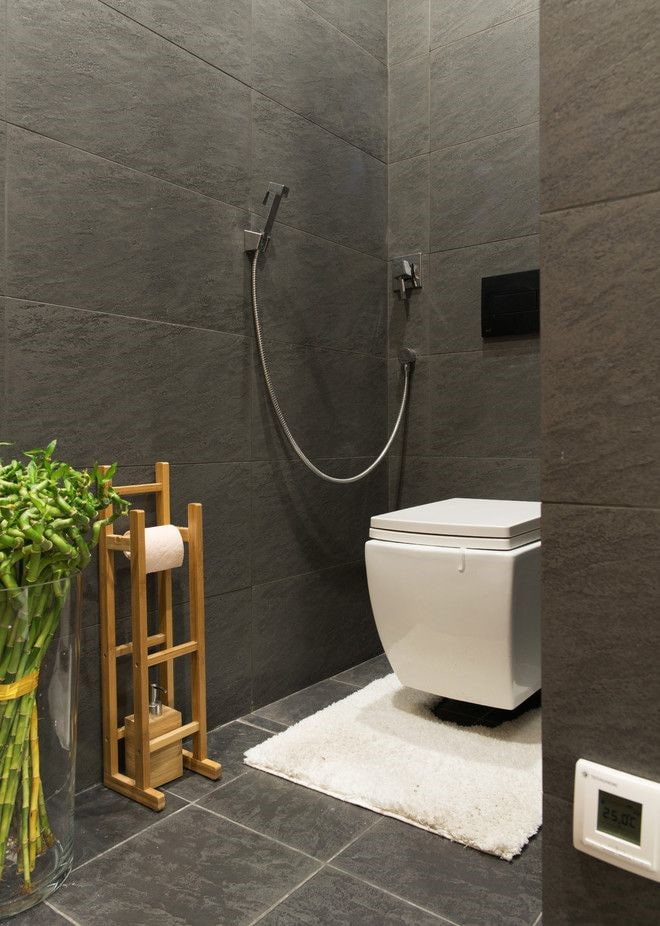toilet interior in gray tones