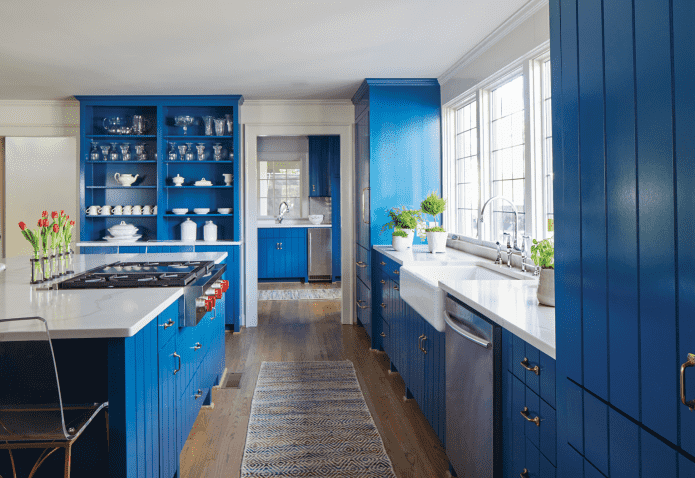 storage systems in the interior of the kitchen in blue tones