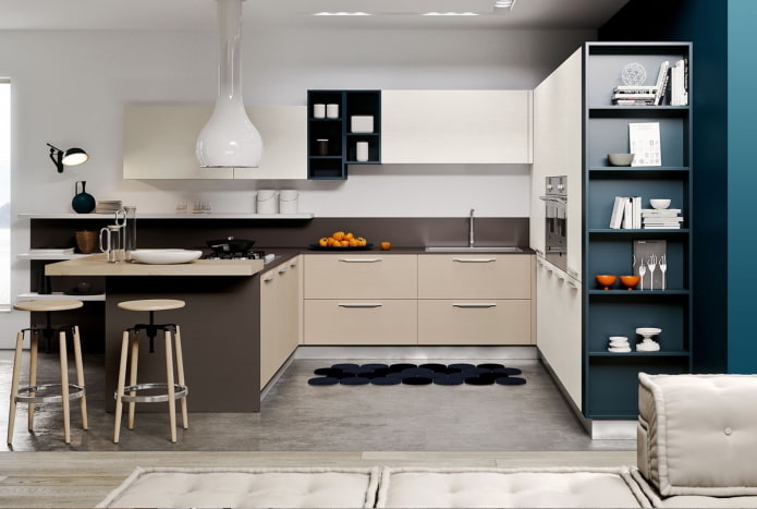 storage systems in the kitchen in modern style