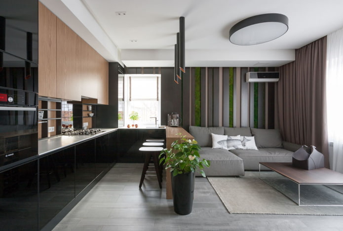 modern kitchen-living room interior
