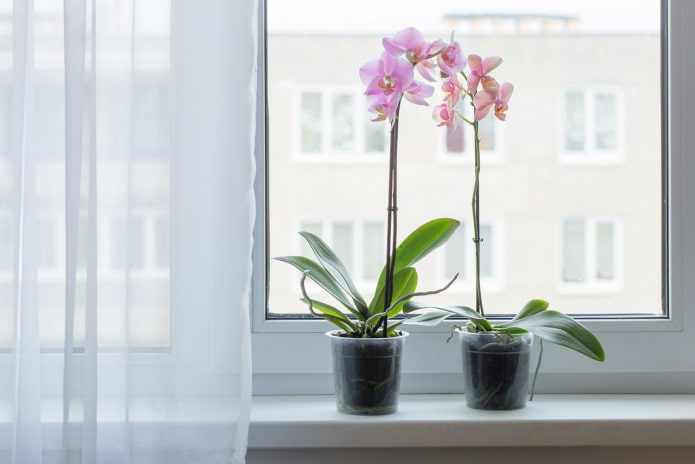 Artificial orchids