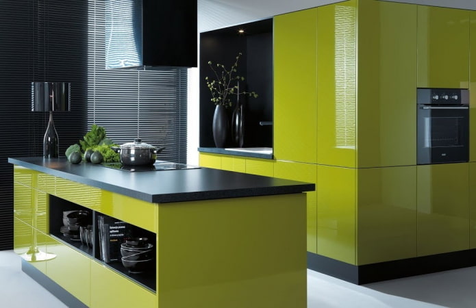 kitchen interior in black and green colors