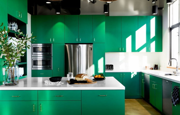 furnishings in the interior of the kitchen in green tones