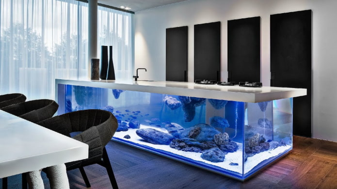 aquarium design