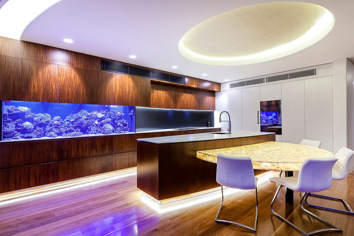 kitchen interior with aquarium
