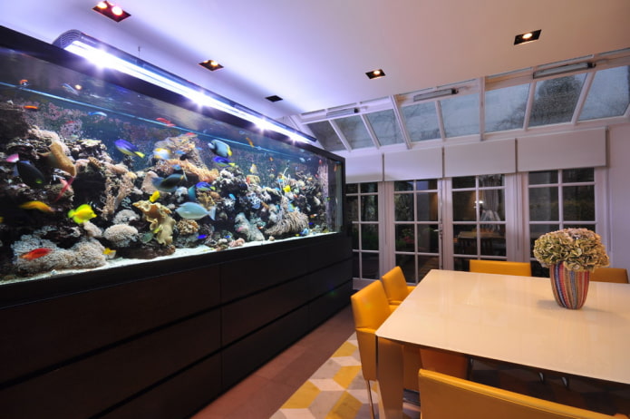 interior na may floor aquarium