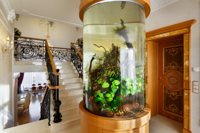 акваријум у близини степеништа у приватној кући