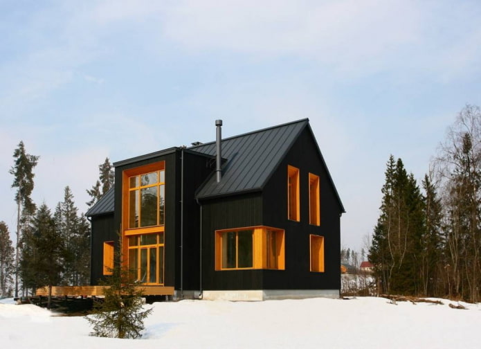 црна кућа у скандинавском стилу