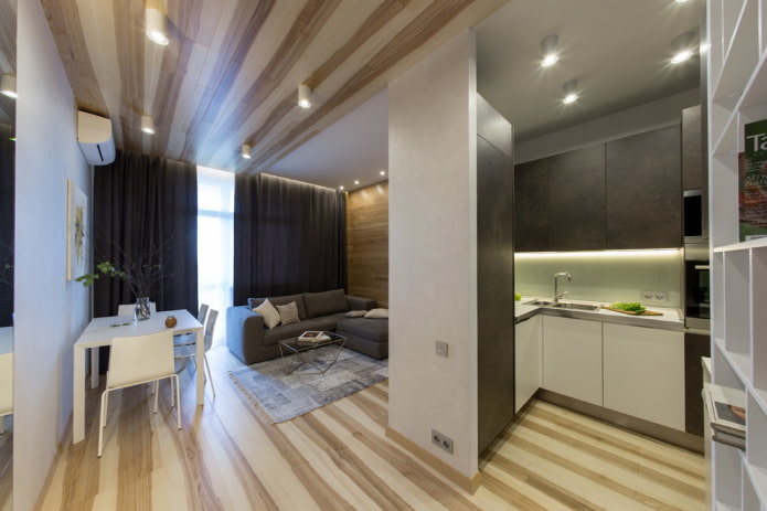 rectangular kitchen-living room design
