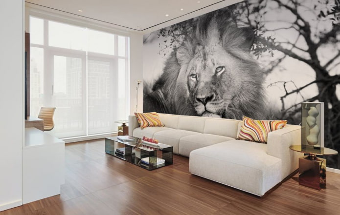 photomural with the image of a lion