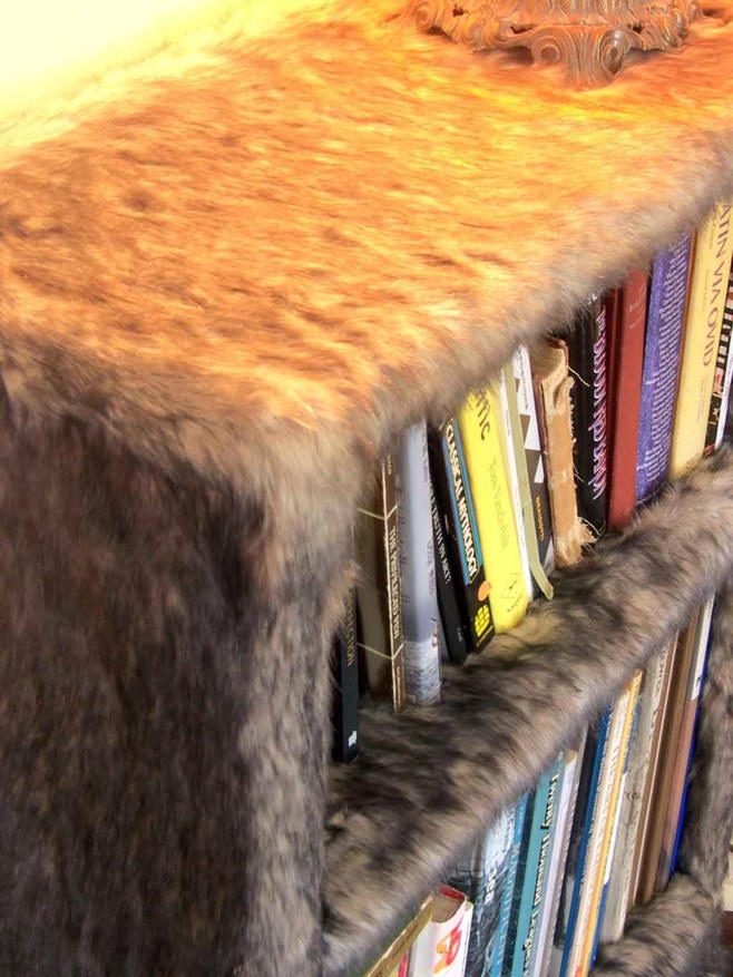 fur in the interior