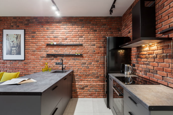color scheme of bricks in the interior of the kitchen