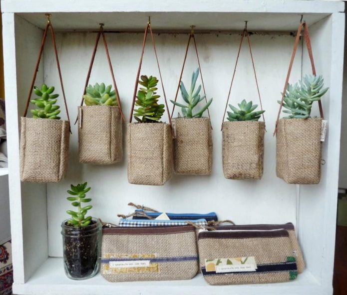 hanging planters for succulents