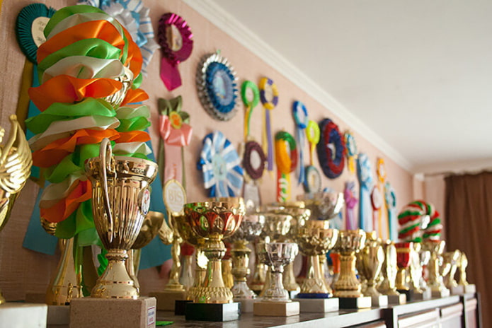 Cups and medals in the interior