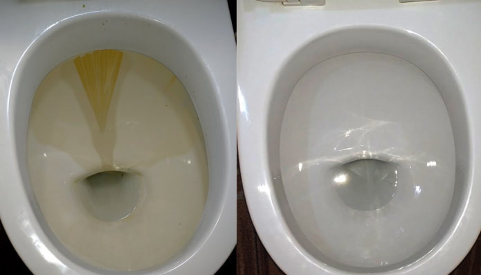Toilet before and after cleaning with Domestos