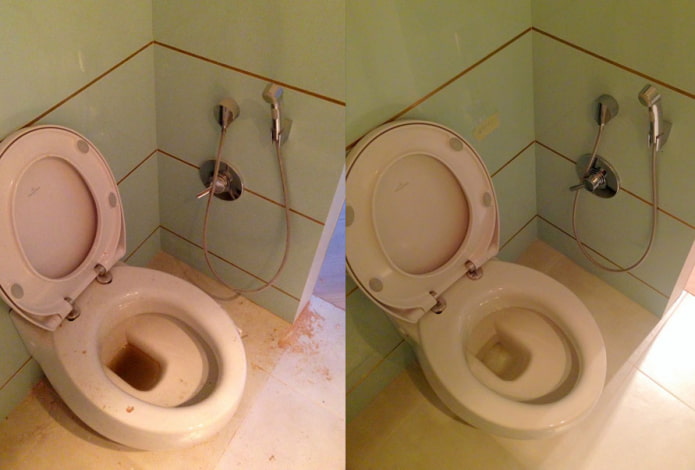 Toilet before and after cleaning with Sarma powder