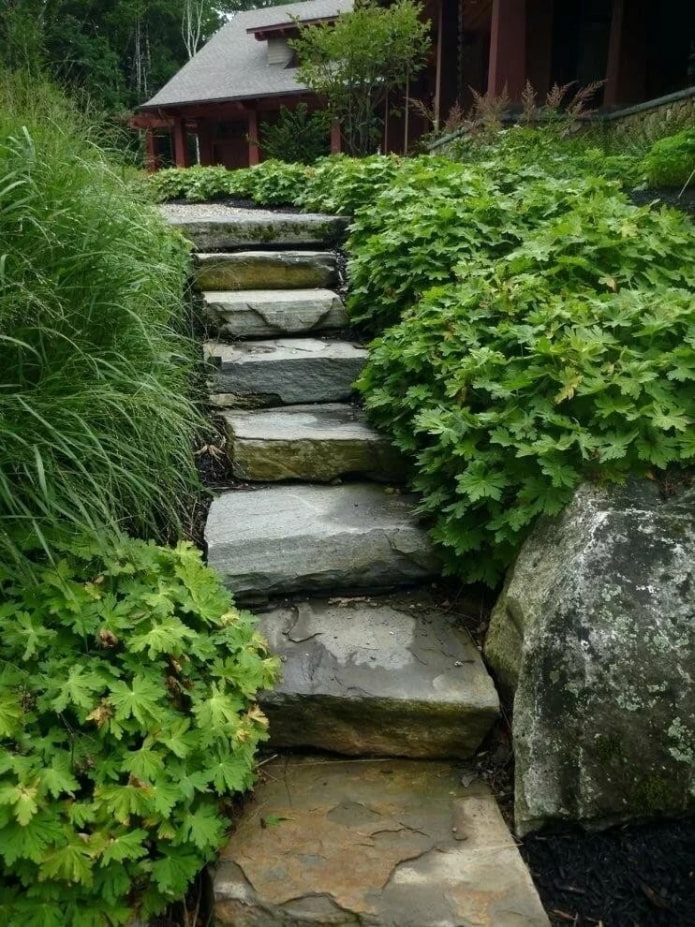stone staircase in the garden