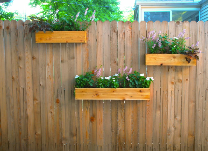 Fence with boxes for plants