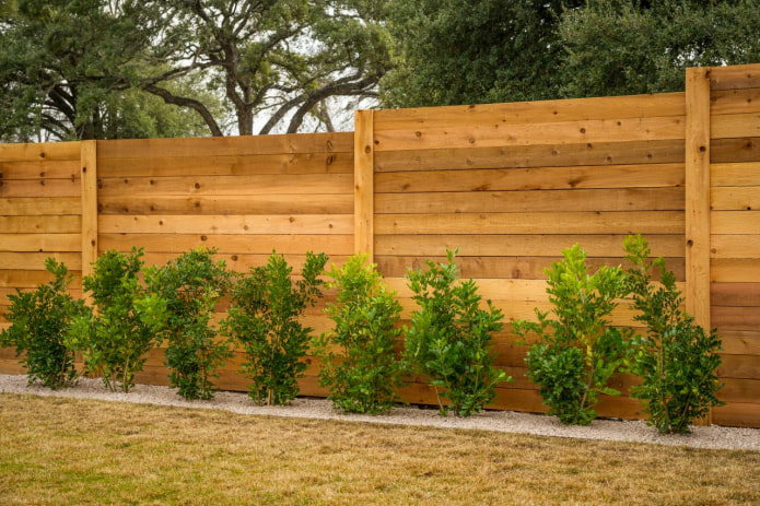 solid wood fence