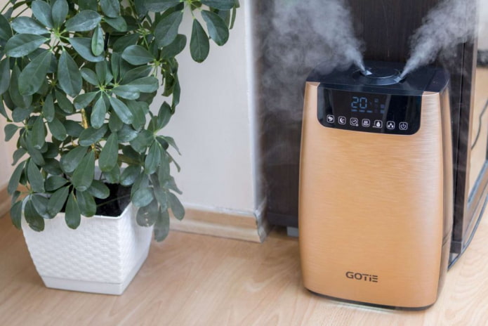 Humidifier and air purifier