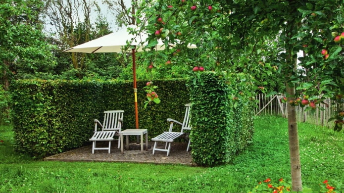 seating area behind the hedge