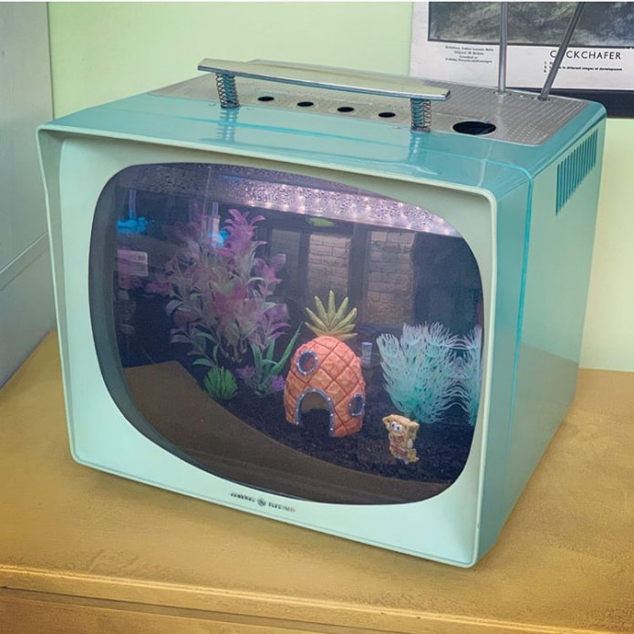 naka-istilong aquarium mula sa isang lumang TV