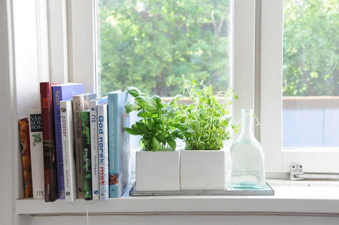 หนังสือและพืชบนขอบหน้าต่าง