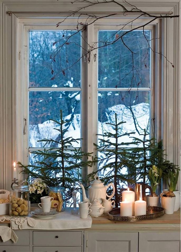 Live-Weihnachtsbäume auf der Fensterbank