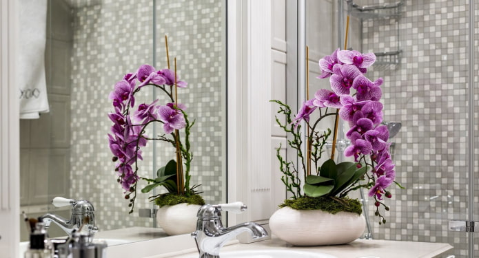 orchidea a fürdőszobában