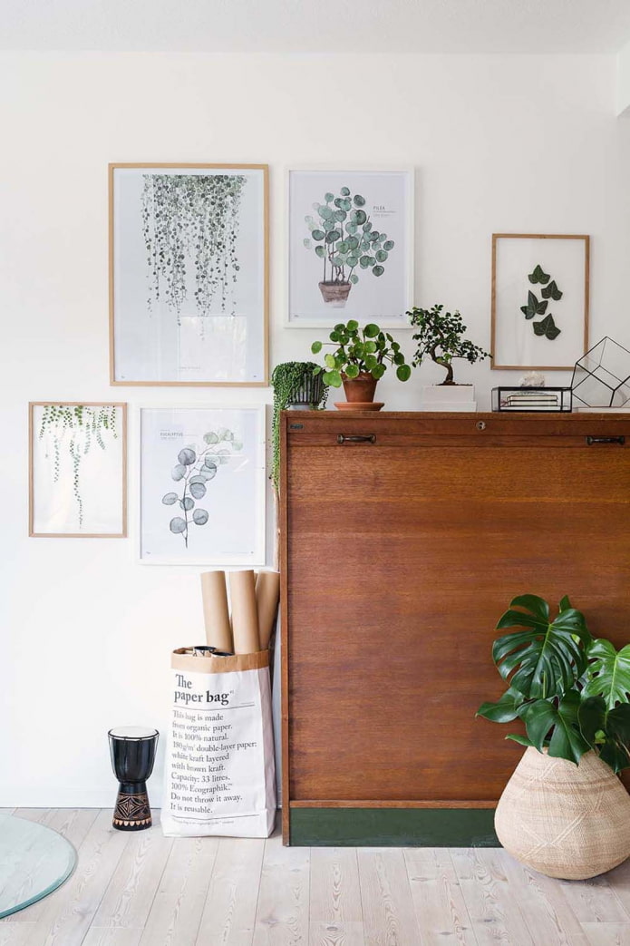Plants and paintings