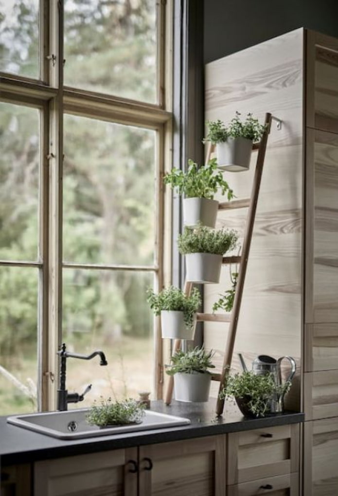 Mini ladder for greenery