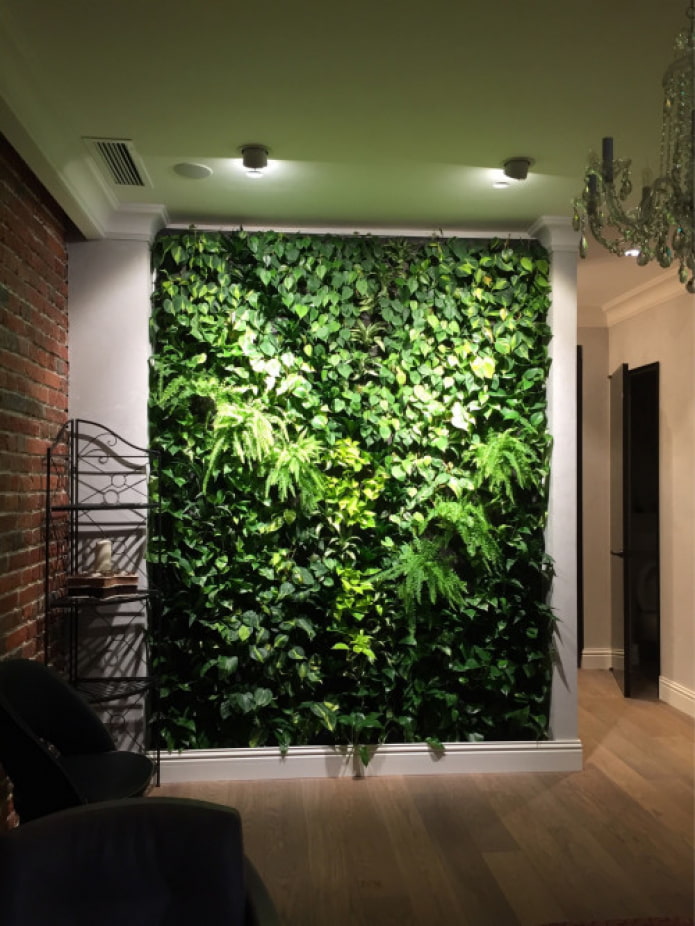 green wall in the hallway