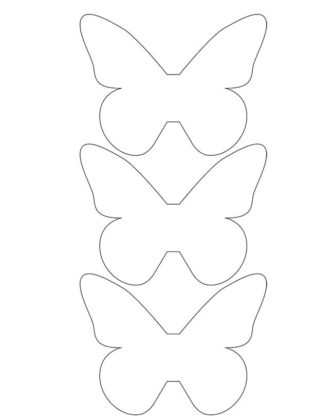 one size butterflies pattern