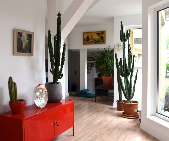 large cacti in the interior