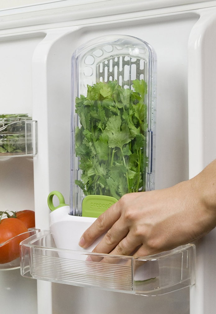 parsley in the refrigerator