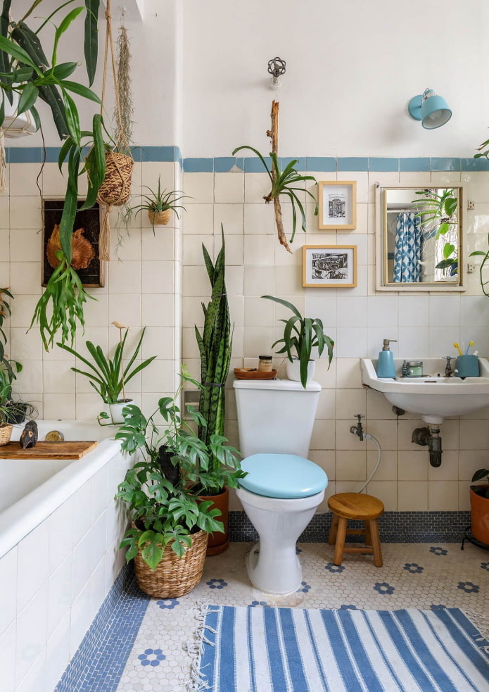 Plants in a bathroom with a window