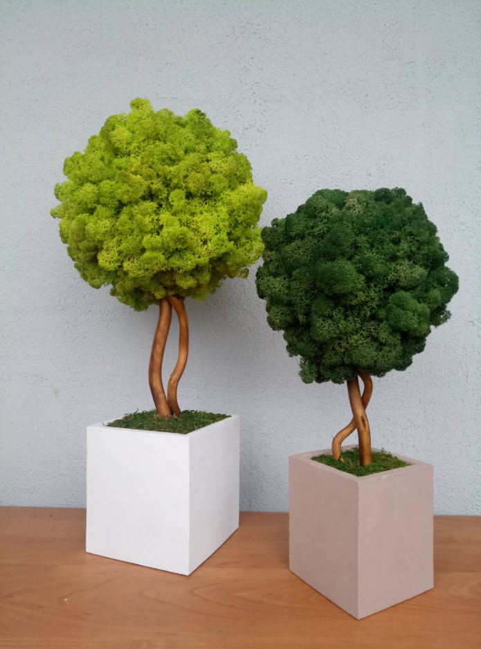 Moos-Topiary