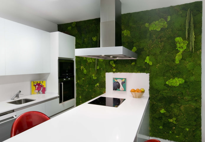 green wall in the kitchen