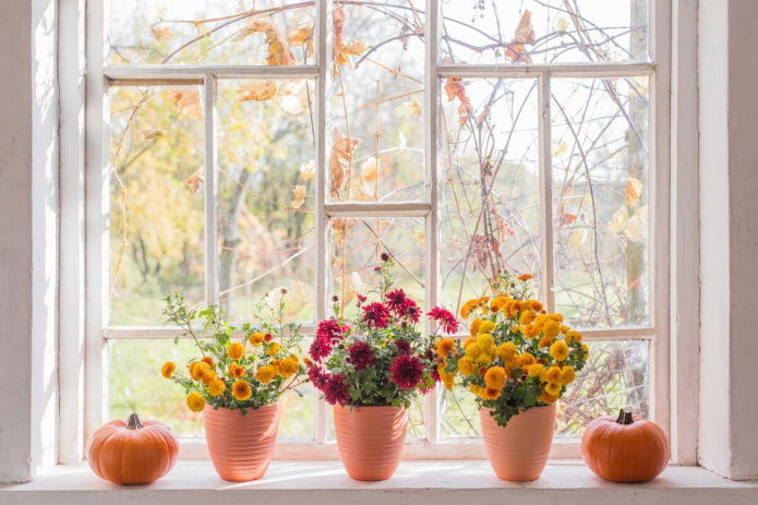 virágok az ablakpárkányon