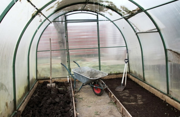 Greenhouse cleaning