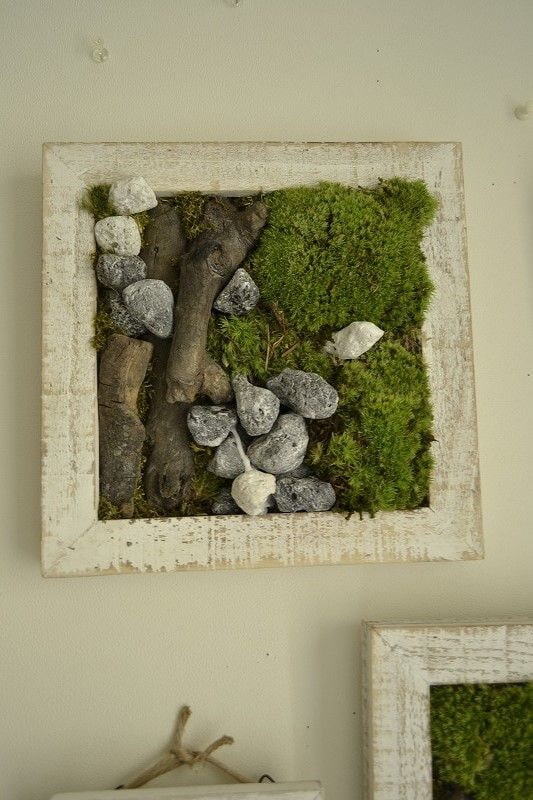 Panel aus Moos und Steinen