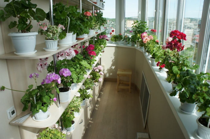 shelves for flowers on the balcony