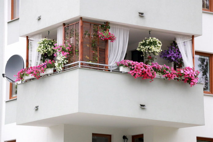 dekoráció az erkély virágokkal