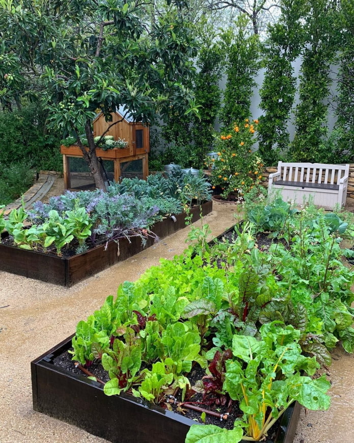 Garden bench in the vegetable garden